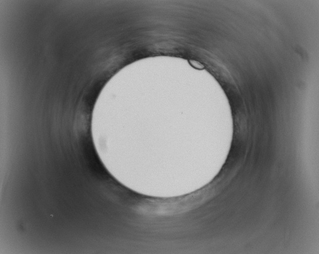 X0000116020033200912312201