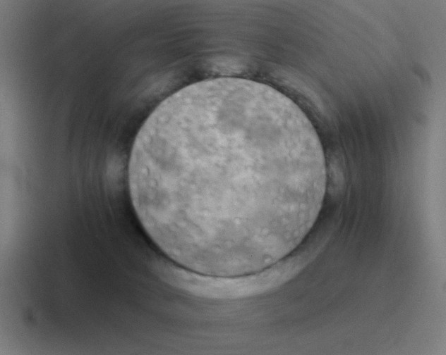 X0000116020034200912312201