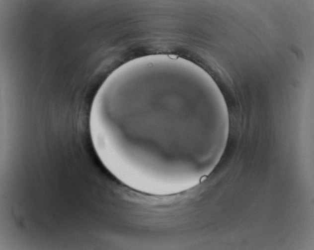 X0000116020035200912312201