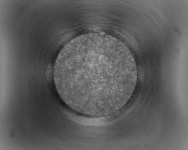 X0000116020036200912312201