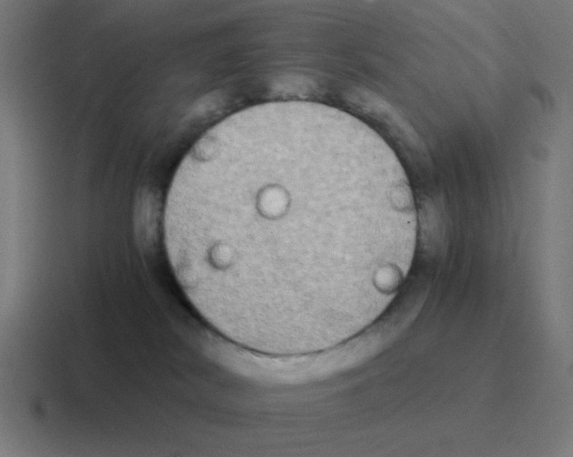 X0000116020038200912312201