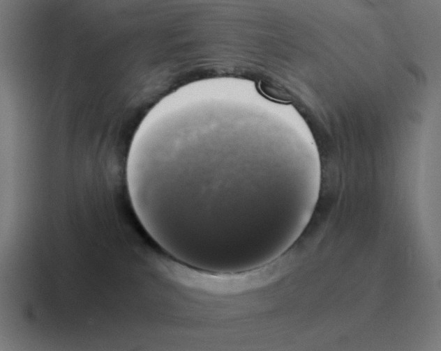 X0000116020039200912312201