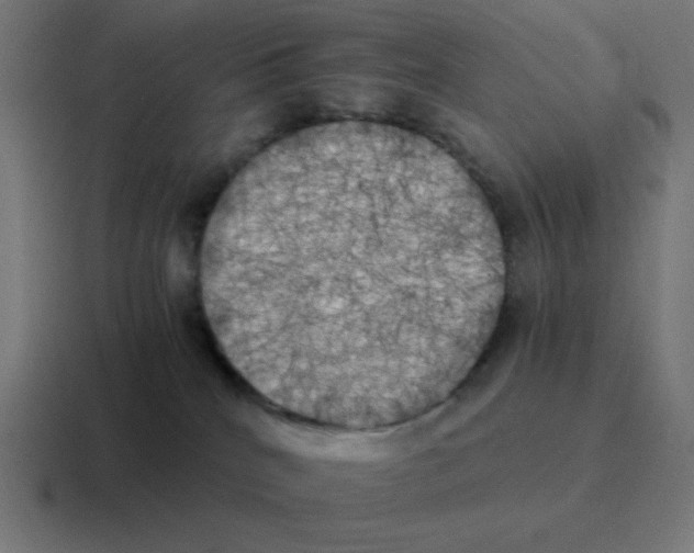 X0000116020040200912312201