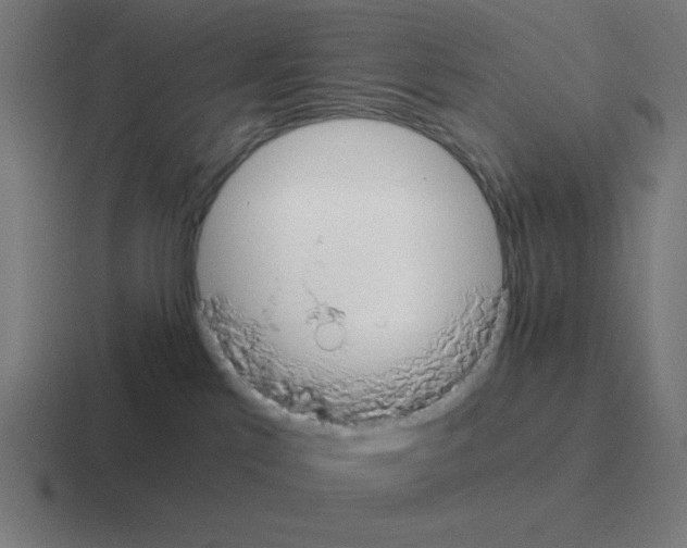 X0000116020041200912312201