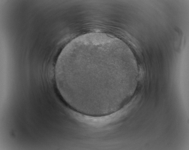 X0000116020043200912312201