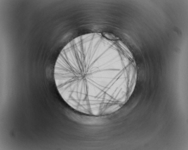 X0000116020044200912312201