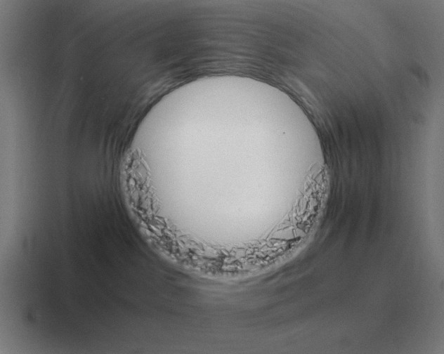 X0000116020045200912312201