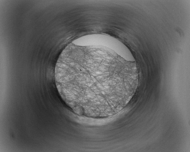 X0000116020048200912312201