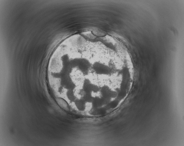 X0000116020049200912312201