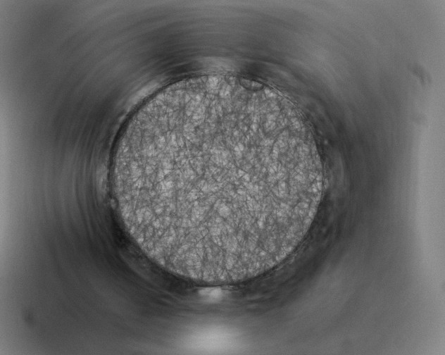 X0000116020050200912312201