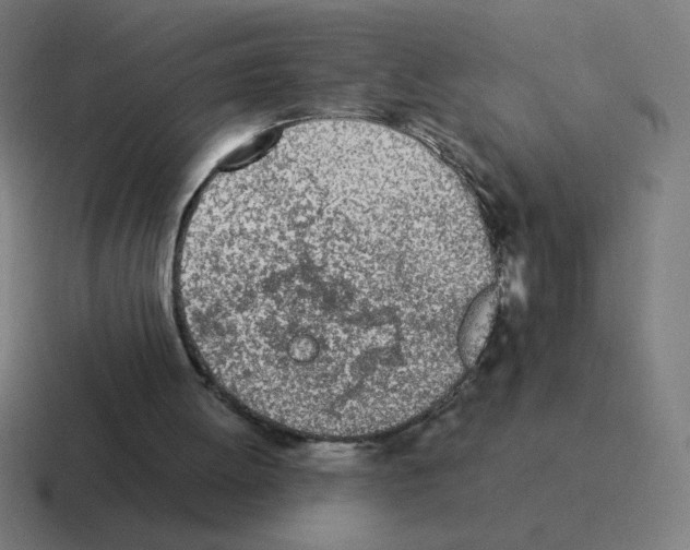 X0000116020052200912312201