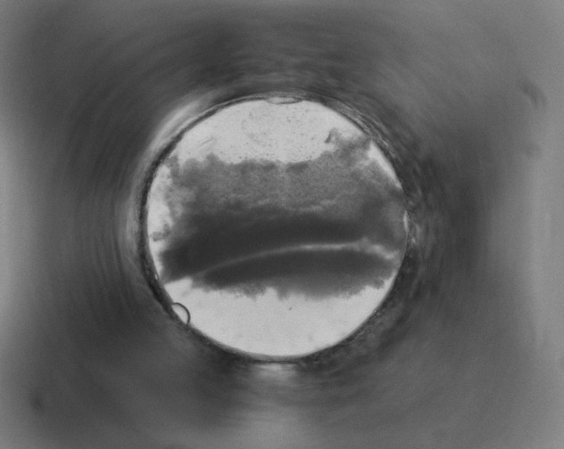 X0000116020053200912312201