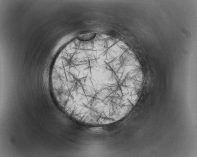 X0000116020054200912312201