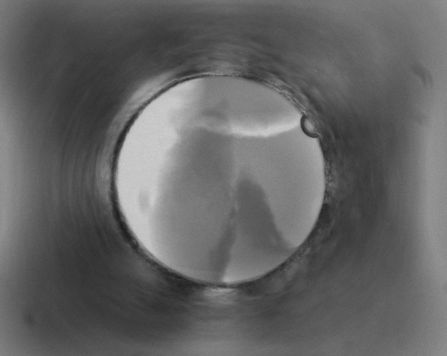 X0000116020055200912312201