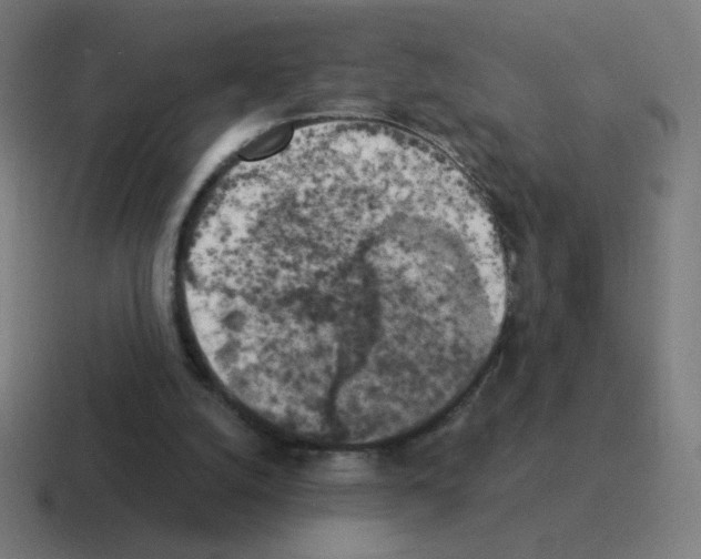 X0000116020056200912312201