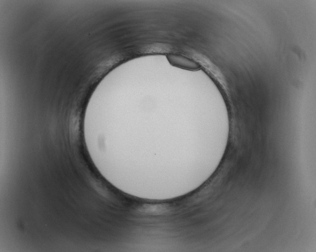 X0000116020057200912312201