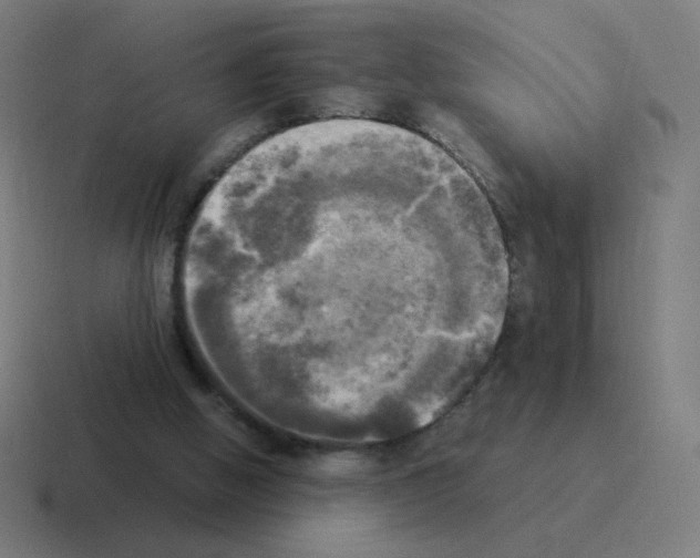 X0000116020058200912312201