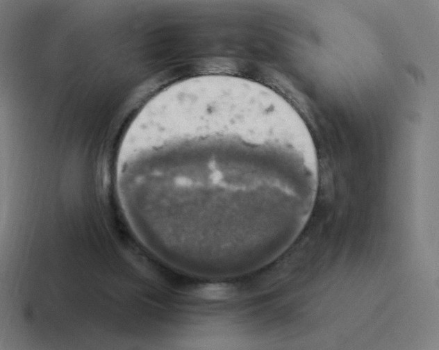 X0000116020059200912312201