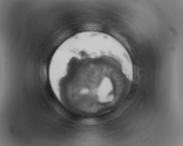 X0000116020061200912312201