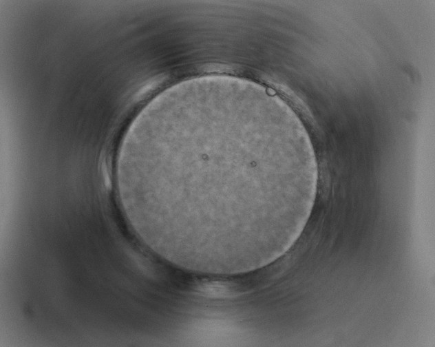 X0000116020062200912312201