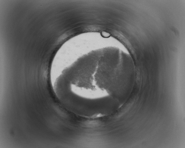 X0000116020063200912312201