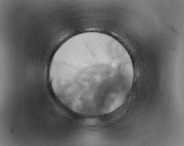 X0000116020066200912312201