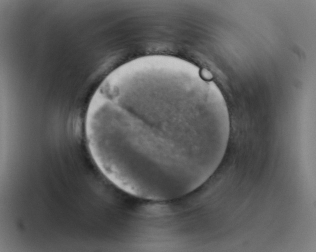 X0000116020067200912312201