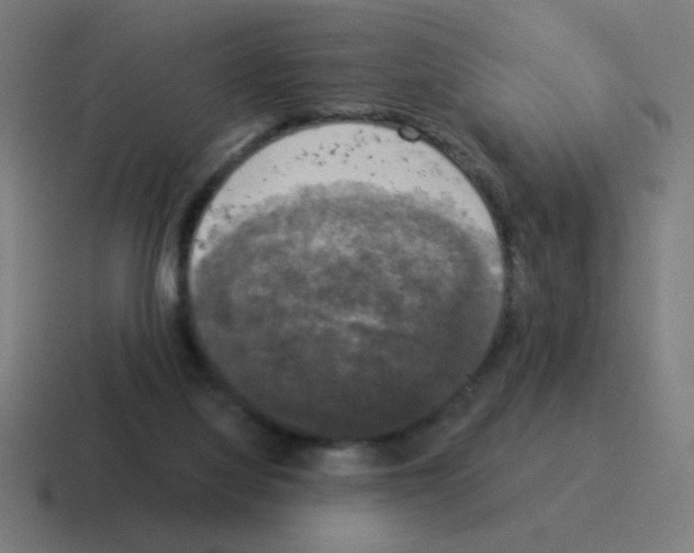 X0000116020068200912312201