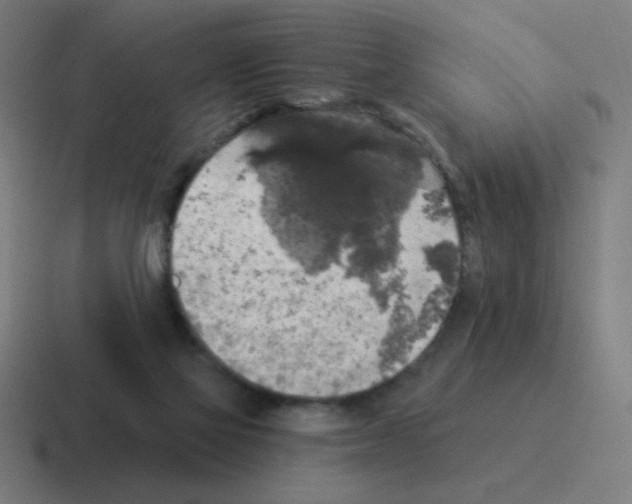 X0000116020069200912312201