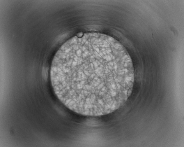 X0000116020070200912312201