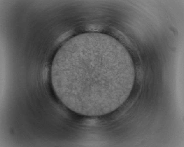 X0000116020071200912312201