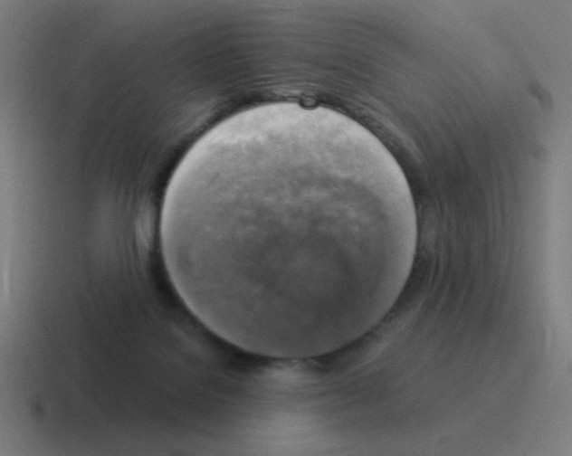 X0000116020076200912312201