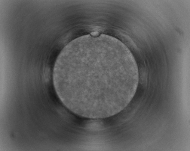 X0000116020077200912312201