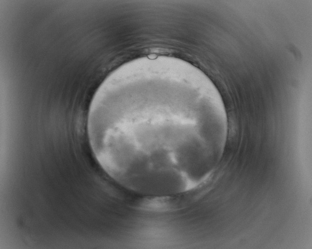 X0000116020078200912312201