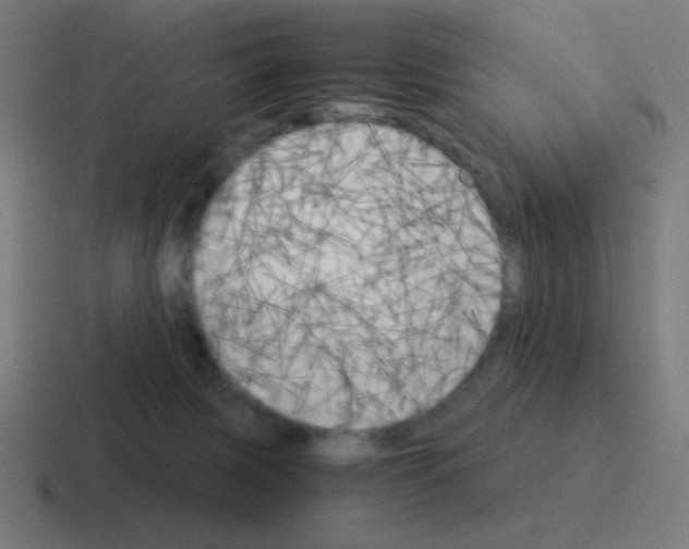 X0000116020079200912312201