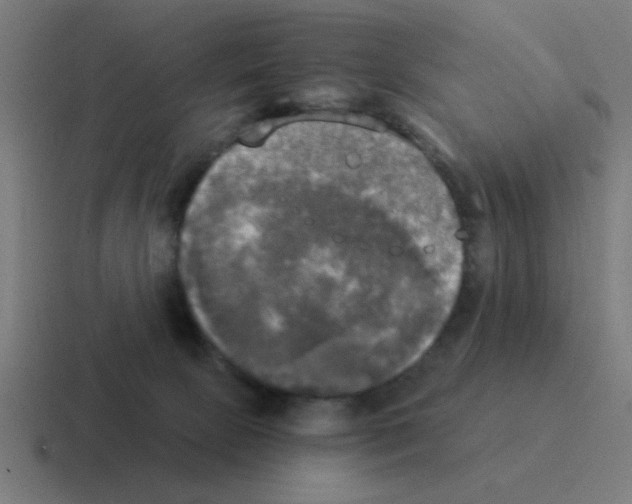 X0000116020081200912312201