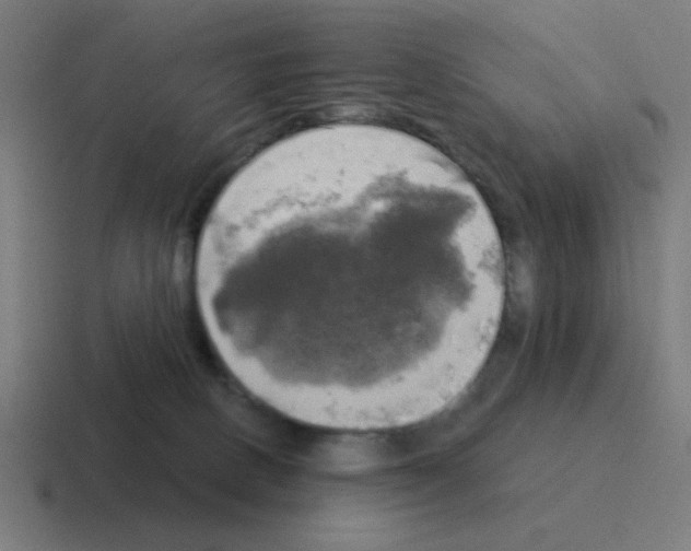 X0000116020082200912312201