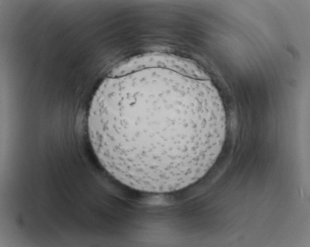 X0000116020083200912312201