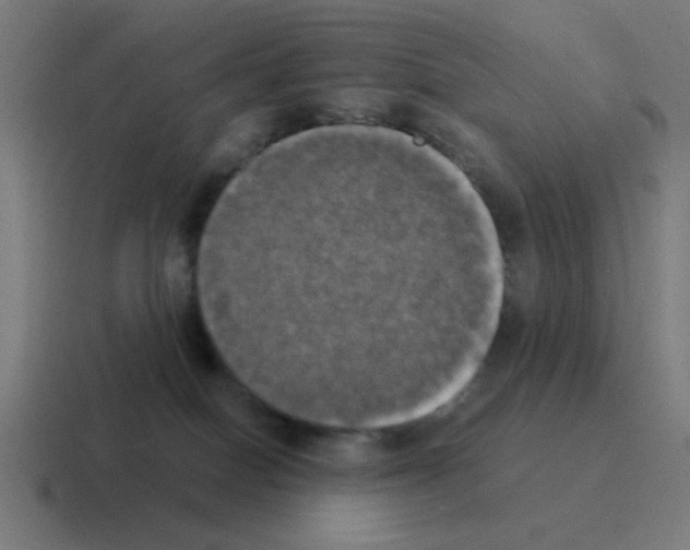 X0000116020086200912312201