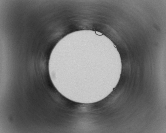 X0000116020088200912312201