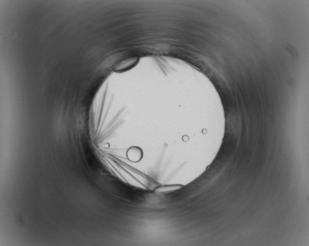 X0000116020092200912312201