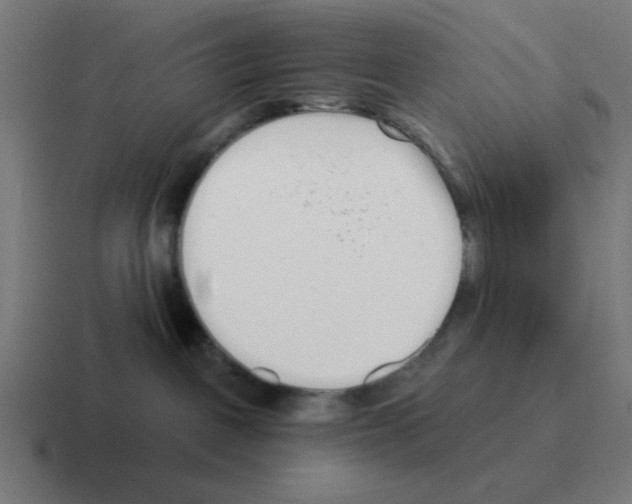 X0000116020093200912312201