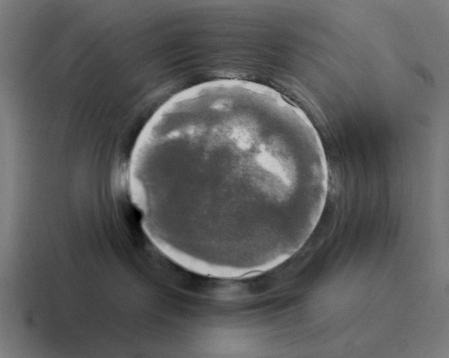 X0000116020095200912312201