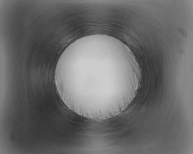 X0000116020096200912312201