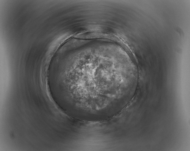 X0000116020097200912312201