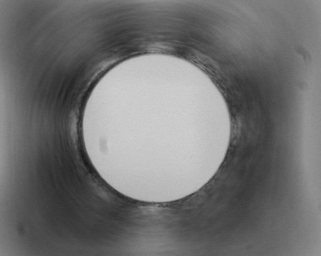 X0000116020098200912312201