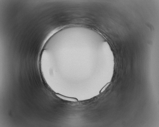 X0000116020100200912312201