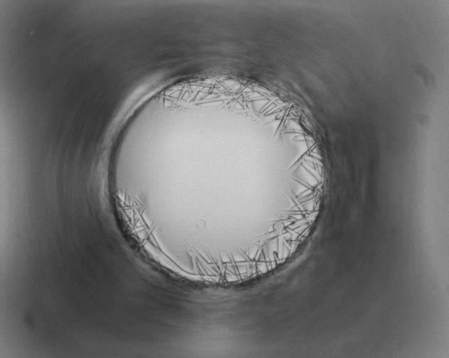 X0000116020101200912312201