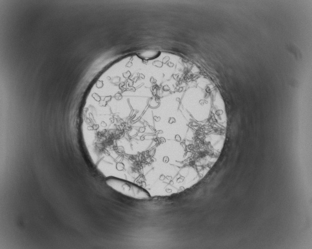 X0000116020103200912312200