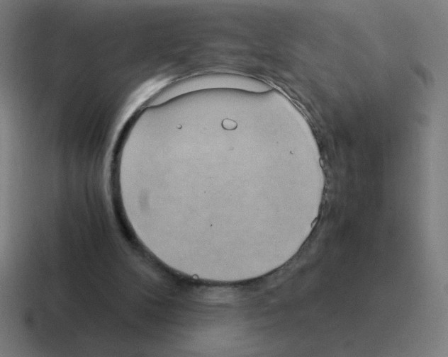 X0000116020104200912312200